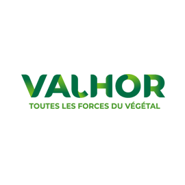 Logo Valhor