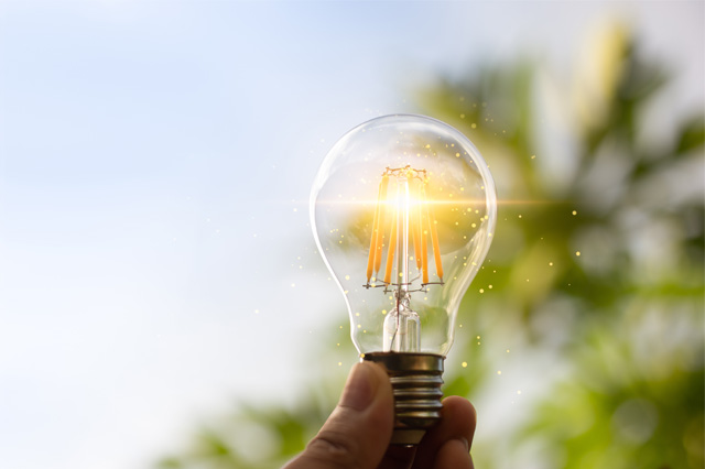 Nouveautés 2026 des Rencontres du Végétal